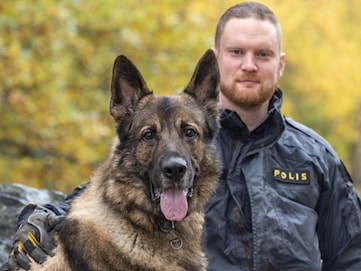 Sid räddade sin hundförare – utses till årets polishund