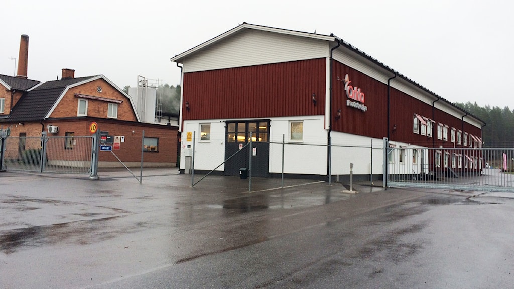 fr-dinge-mejeri-permitterar-70-tal-anst-llda-allt-handlar-om-coronan