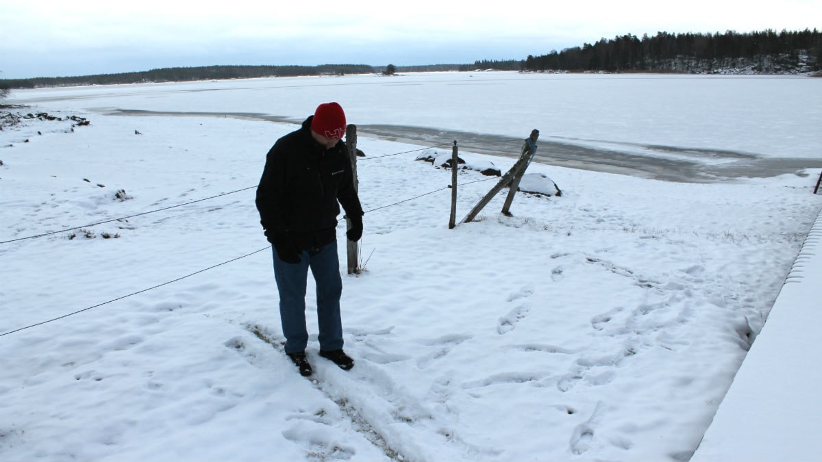 Hur Stor är Sveriges Statsskuld