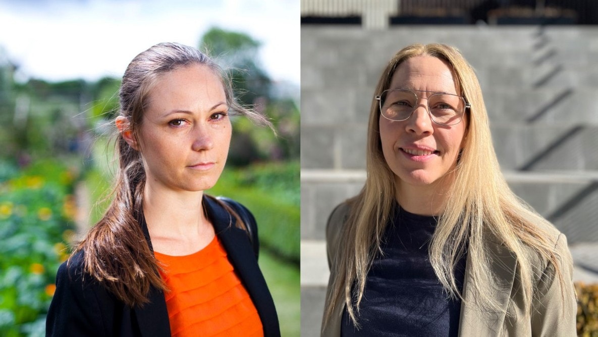 Det ha?r inneba?r EAT-Lancet-dieten
