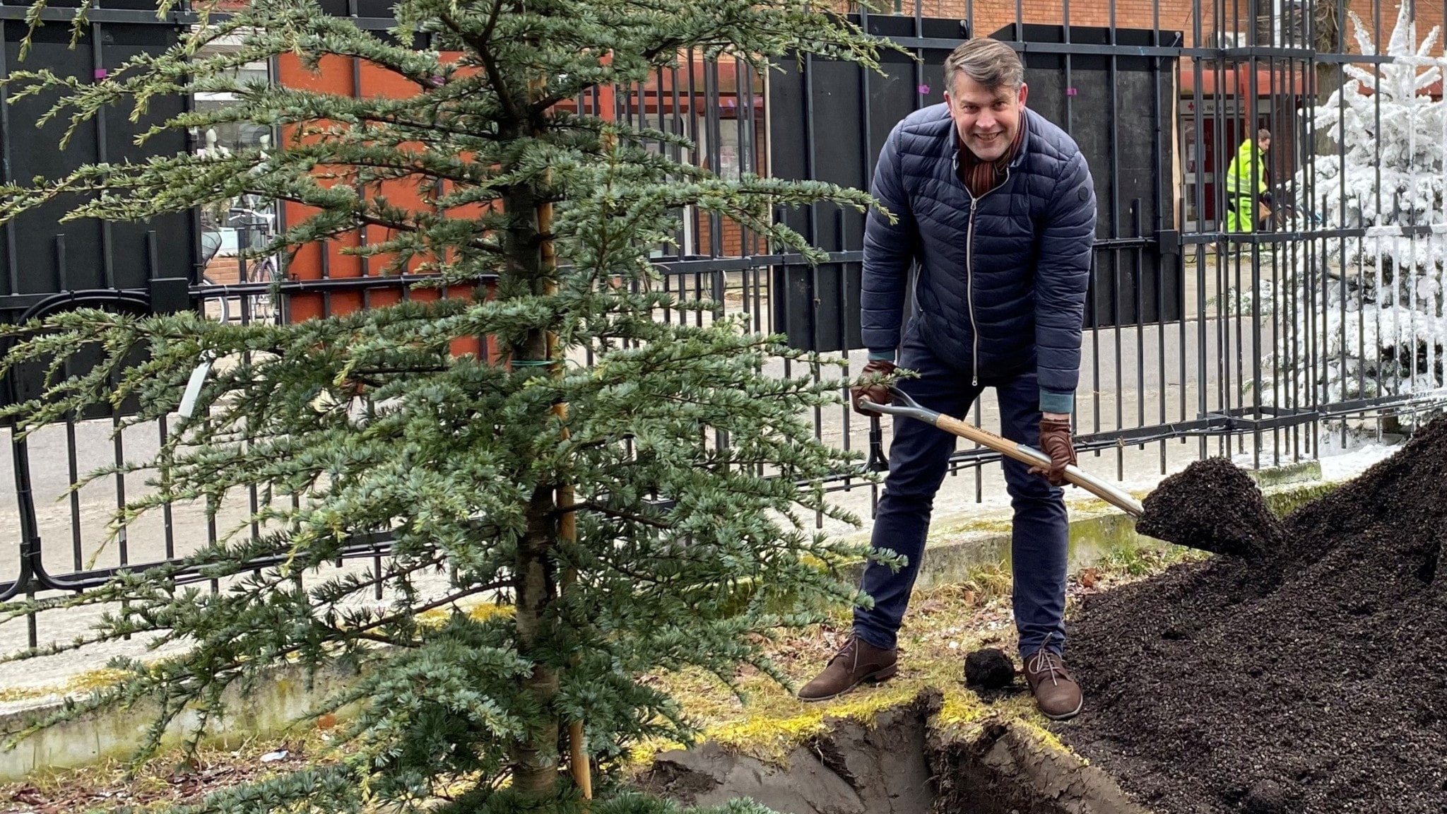 För varje vandaliserat träd – planterar Malmö stad ett nytt - P4 ...