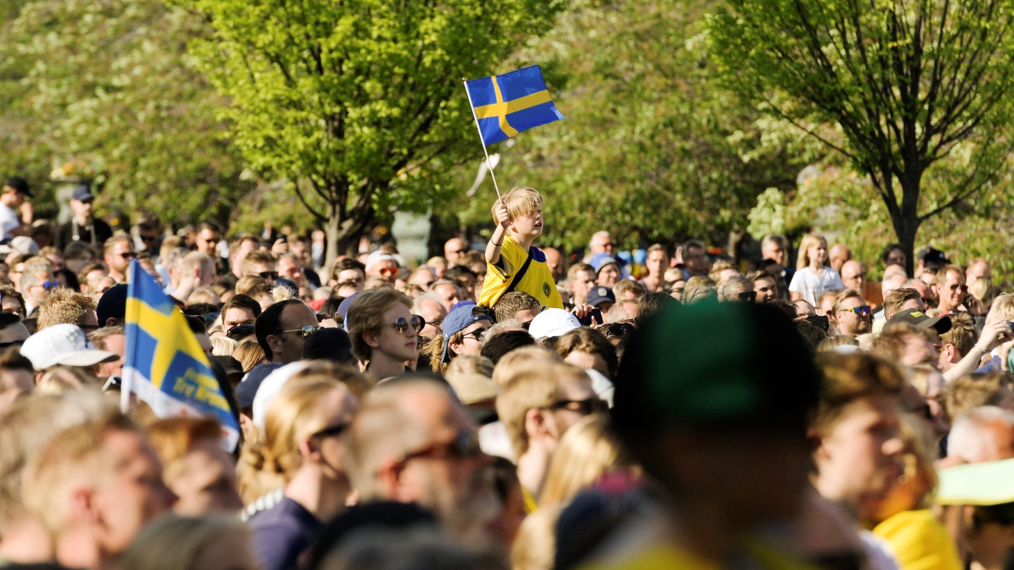 Hur Många Kurder Finns I Sverige